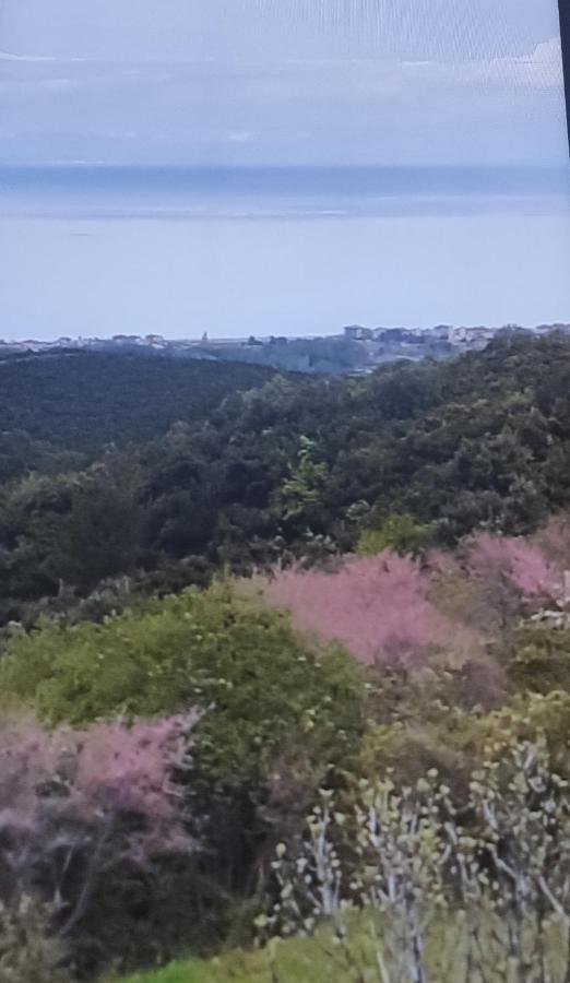 Villa Πανοραμα Aigani Esterno foto